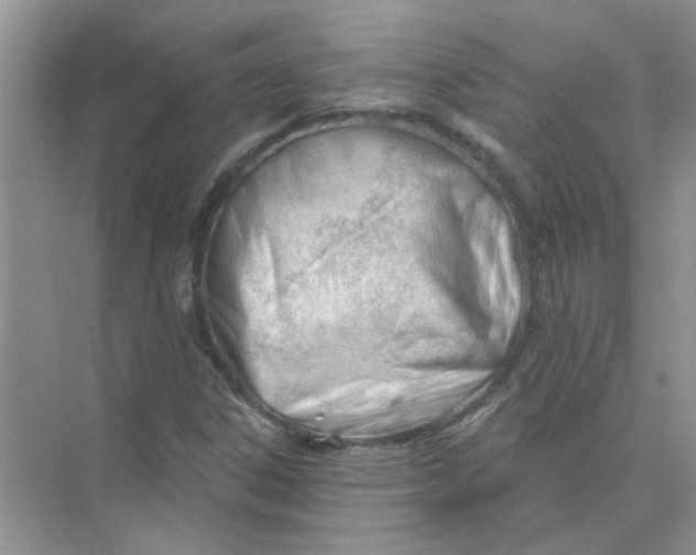 X0000075351306200609292050