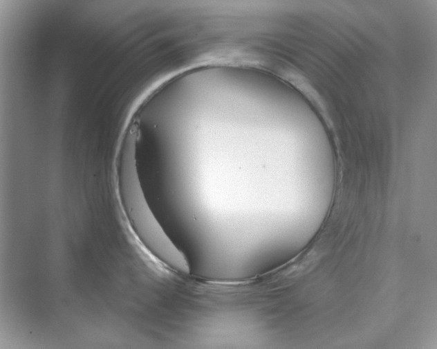 X0000075351344200609292051