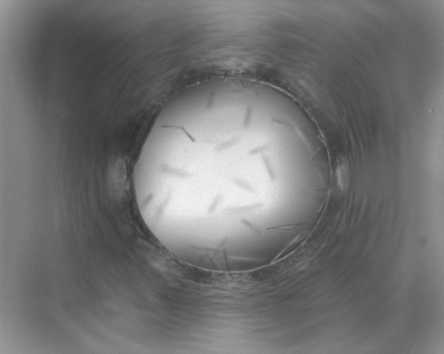 X0000075351347200609292050