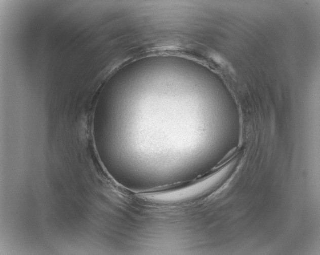 X0000075351353200609292050