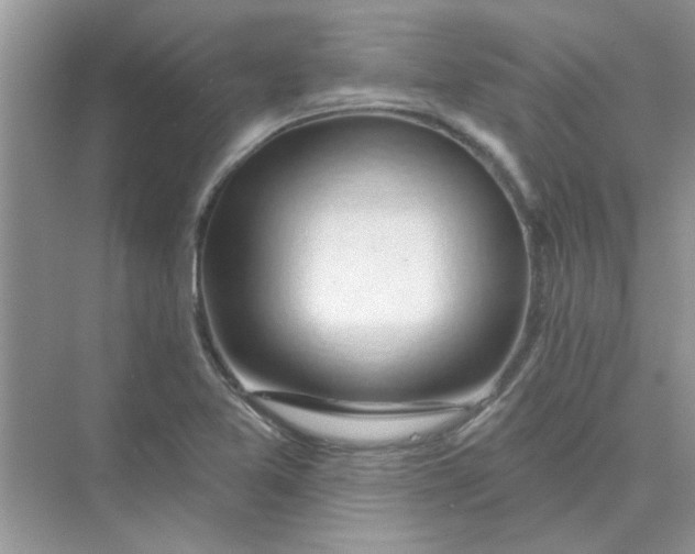 X0000075351365200609292050