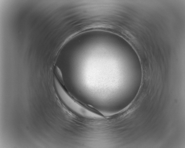 X0000075351369200609292050