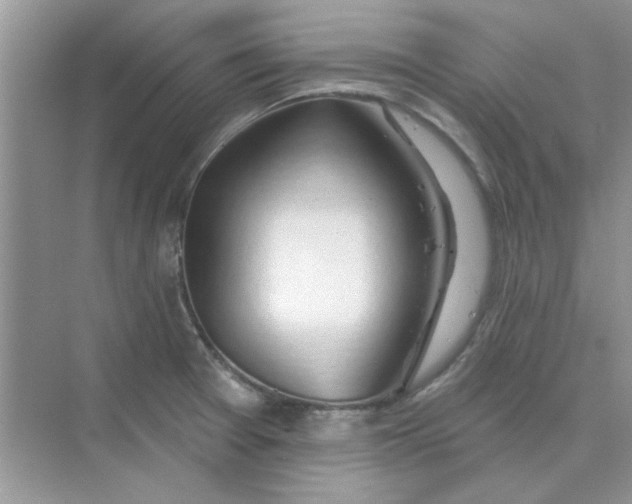 X0000075351377200609292049