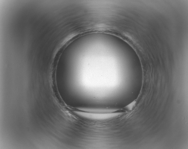 X0000075351410200609292049