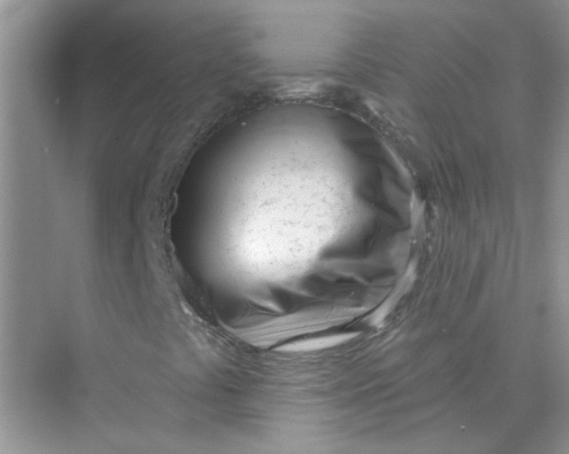 X0000075351441200609292048