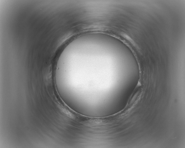 X0000075351450200609292048