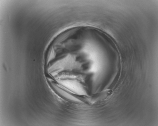 X0000075351508200609292047