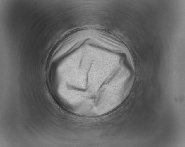 X0000075350002200610061733