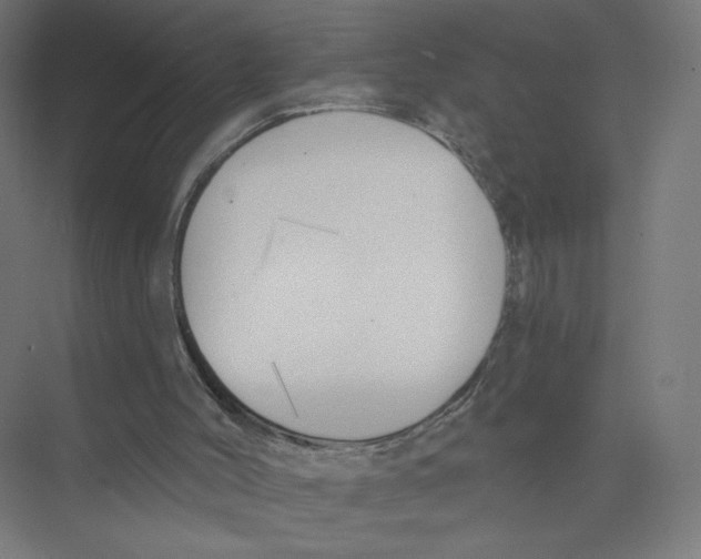 X0000075350004200610061733
