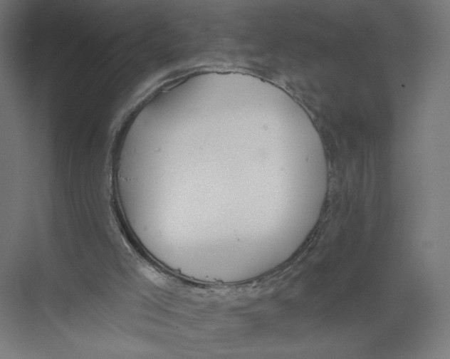 X0000075350005200610061733