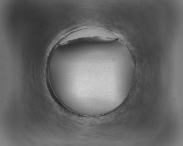 X0000075350007200610061733
