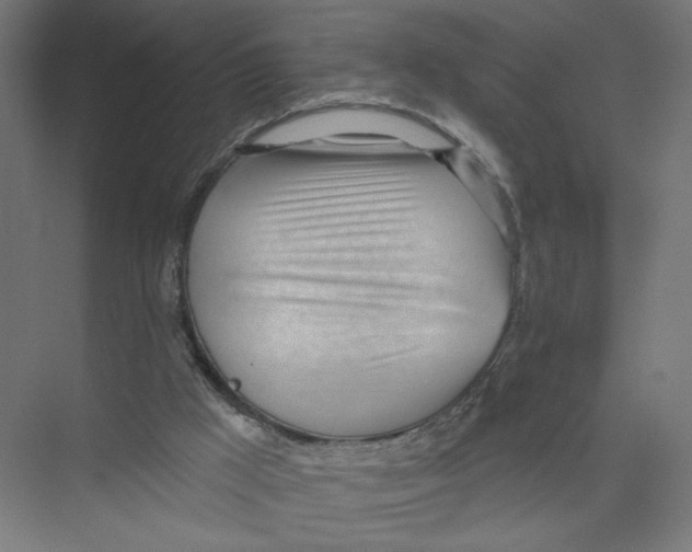 X0000075350009200610061733