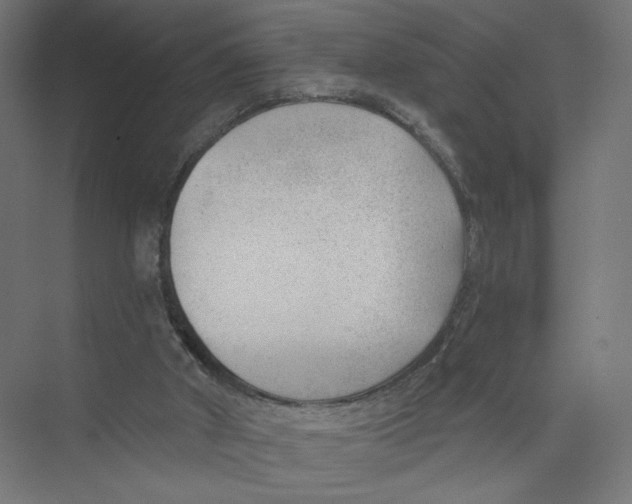 X0000075350010200610061733