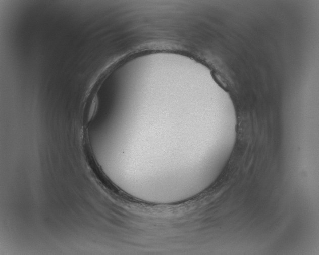 X0000075350015200610061733