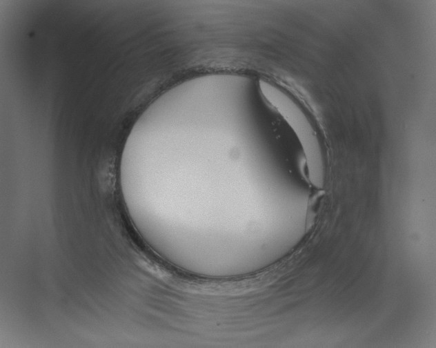 X0000075350017200610061733