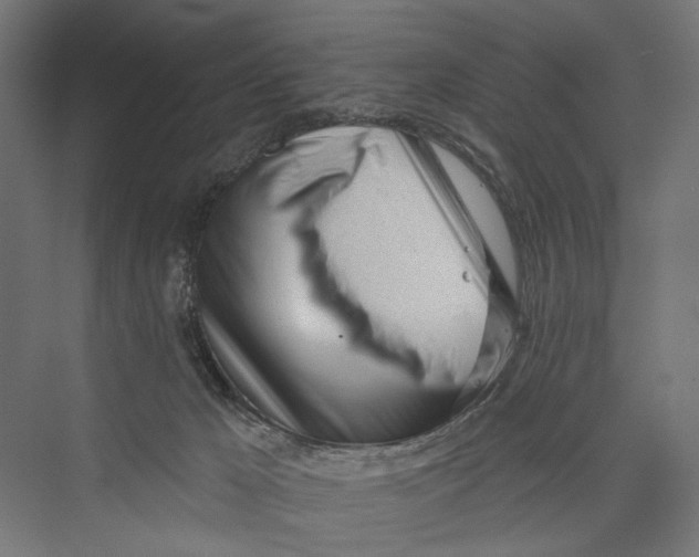 X0000075350029200610061732