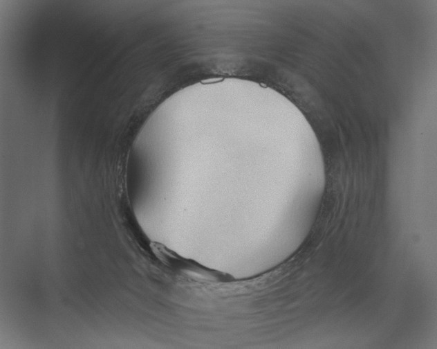 X0000075350031200610061732