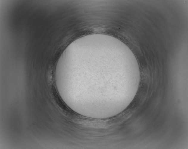 X0000075350032200610061732