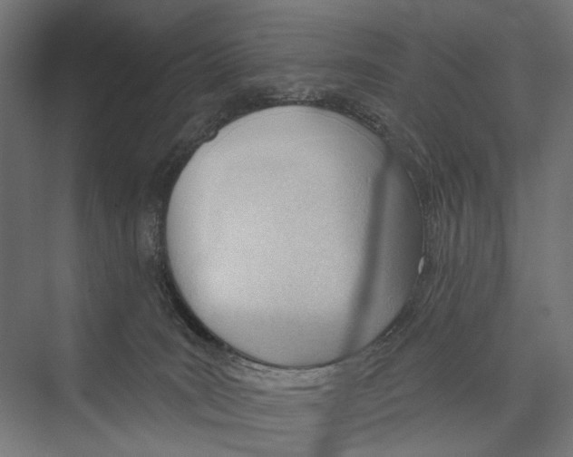 X0000075350035200610061732