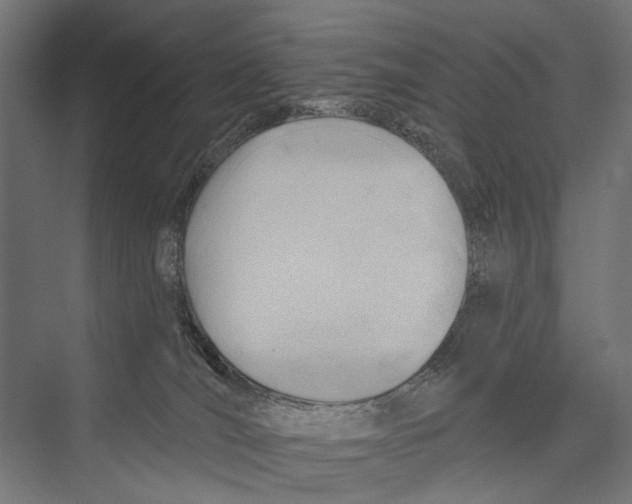 X0000075350036200610061732