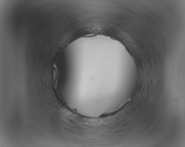 X0000075350037200610061732