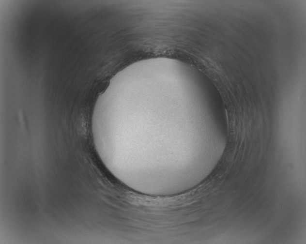 X0000075350039200610061732