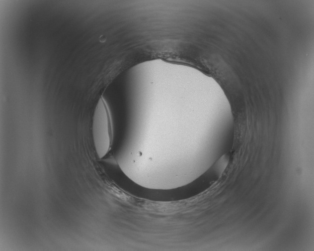 X0000075350041200610061732
