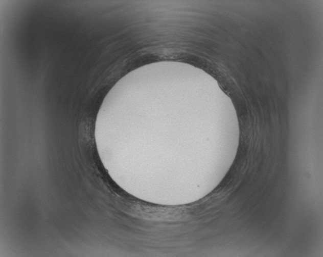 X0000075350044200610061732