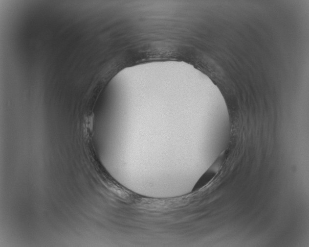 X0000075350045200610061732