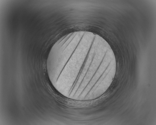 X0000075350048200610061732