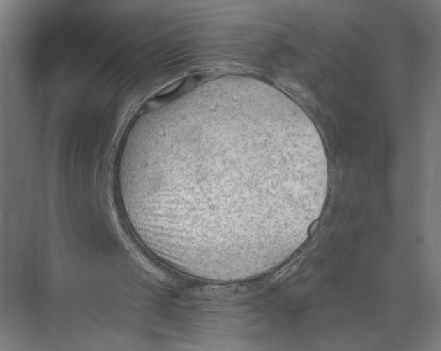 X0000075350049200610061731