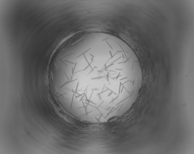 X0000075350050200610061731