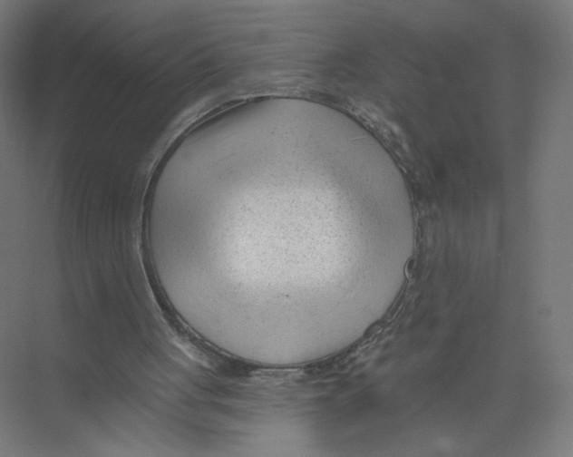 X0000075350051200610061731