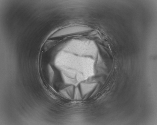 X0000075350052200610061731