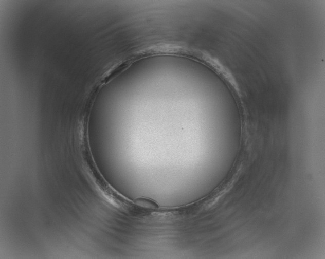 X0000075350057200610061731