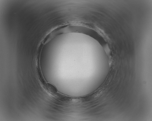 X0000075350060200610061731
