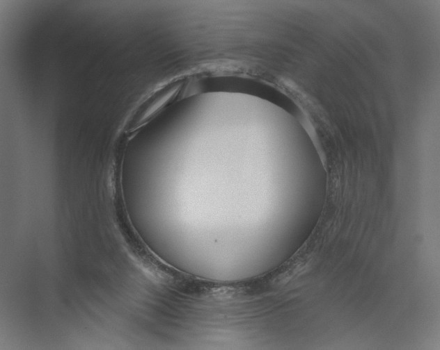 X0000075350064200610061731