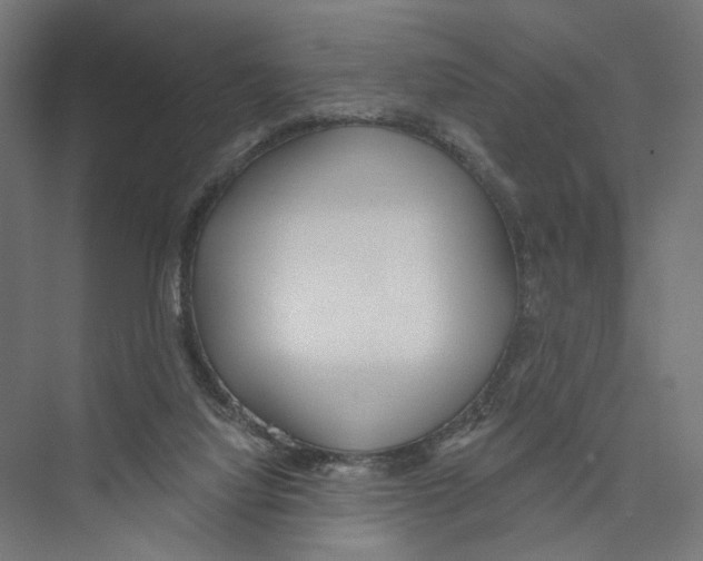 X0000075350068200610061732