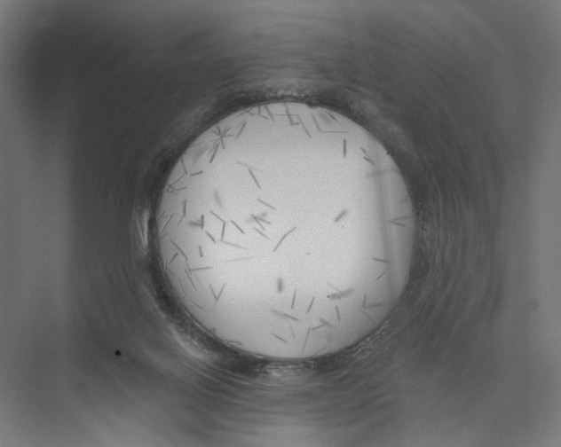 X0000075350070200610061732