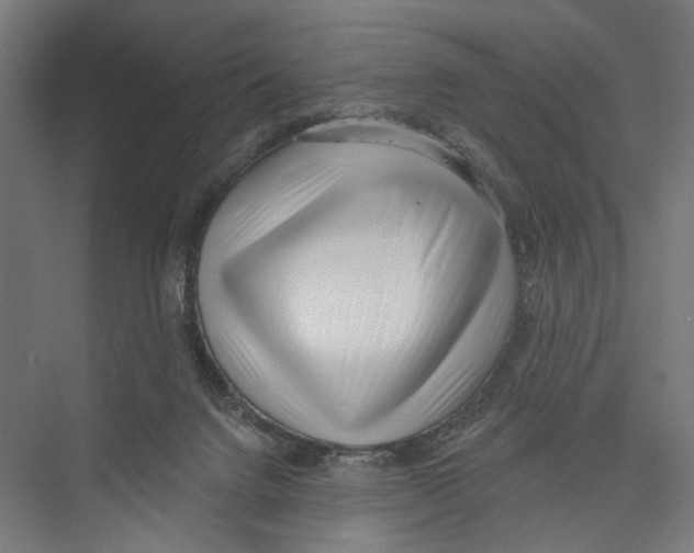 X0000075350072200610061732