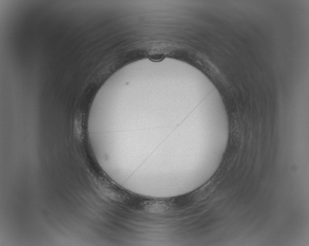 X0000075350074200610061732