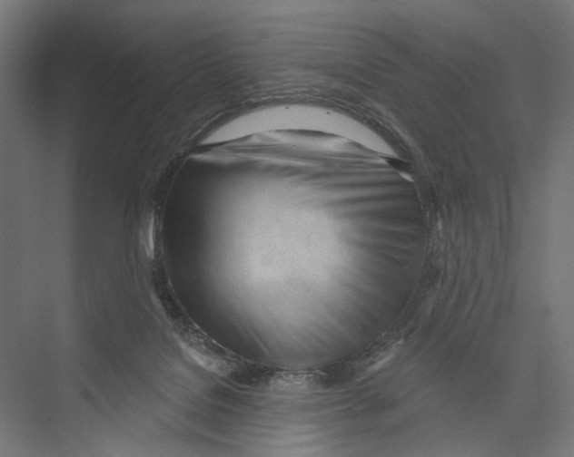 X0000075350076200610061732