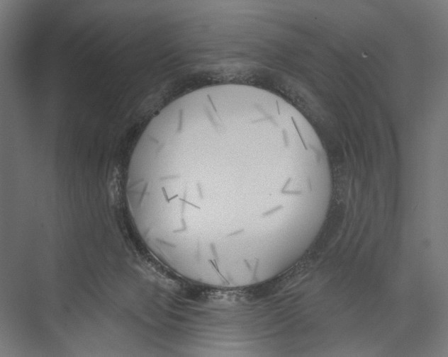 X0000075350077200610061732