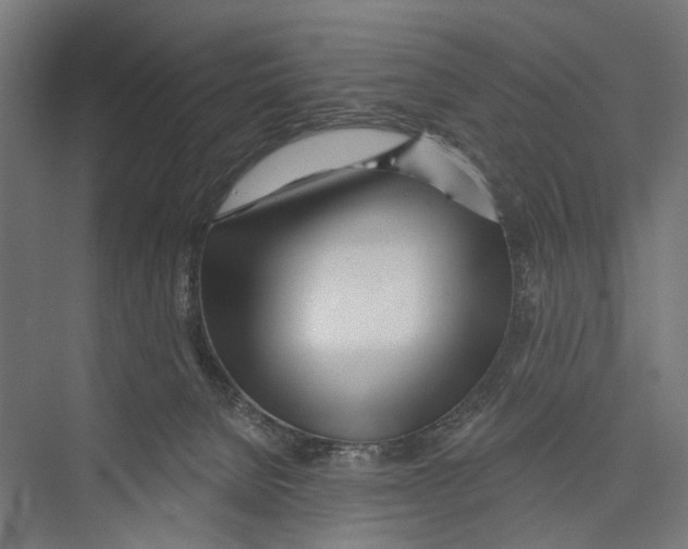 X0000075350080200610061732