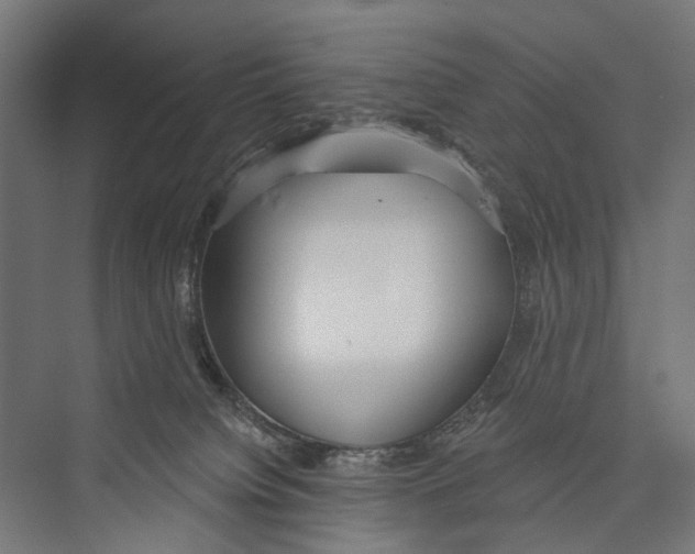 X0000075350084200610061732