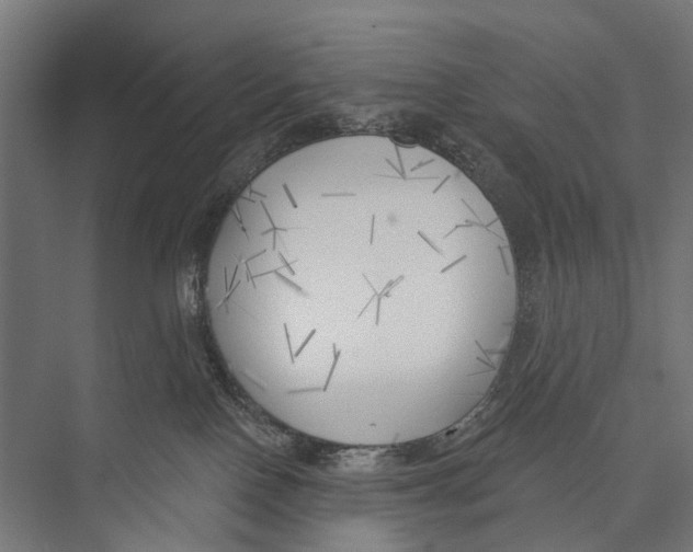 X0000075350090200610061732
