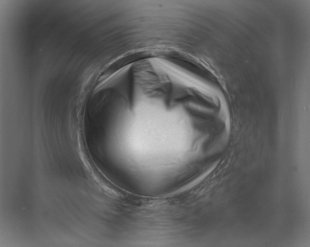 X0000075350097200610061731