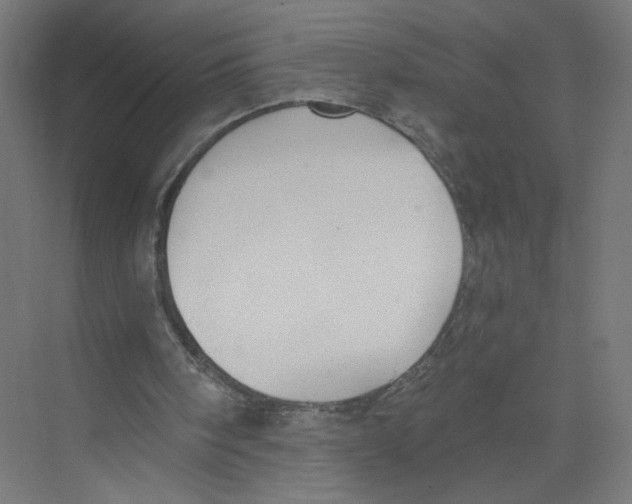 X0000075350098200610061731