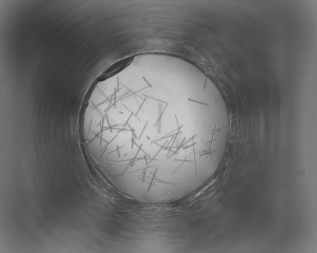 X0000075350099200610061731