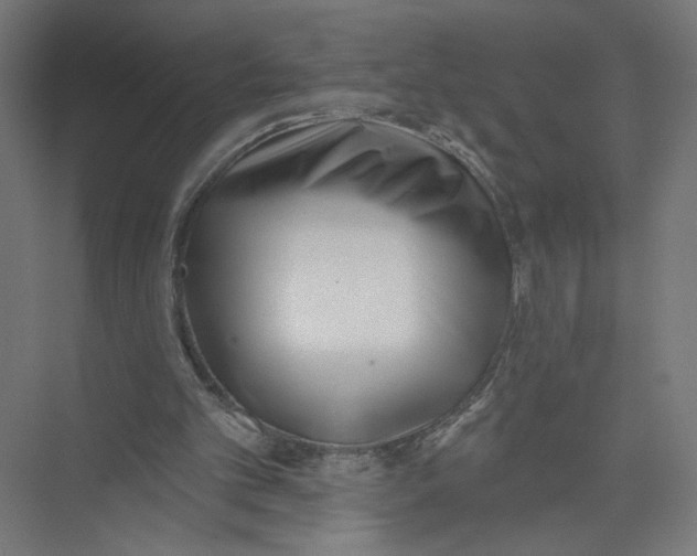 X0000075350101200610061731